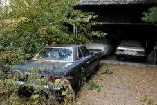 old abandoned car covered in vines